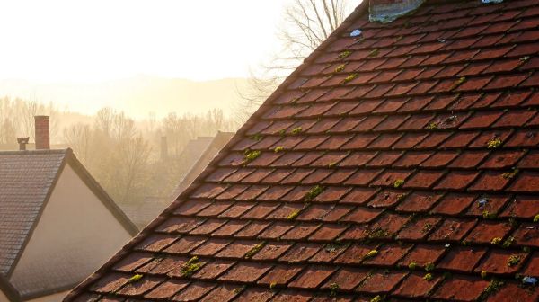 Top astuces pour un démoussage de toiture réussi en Alsace